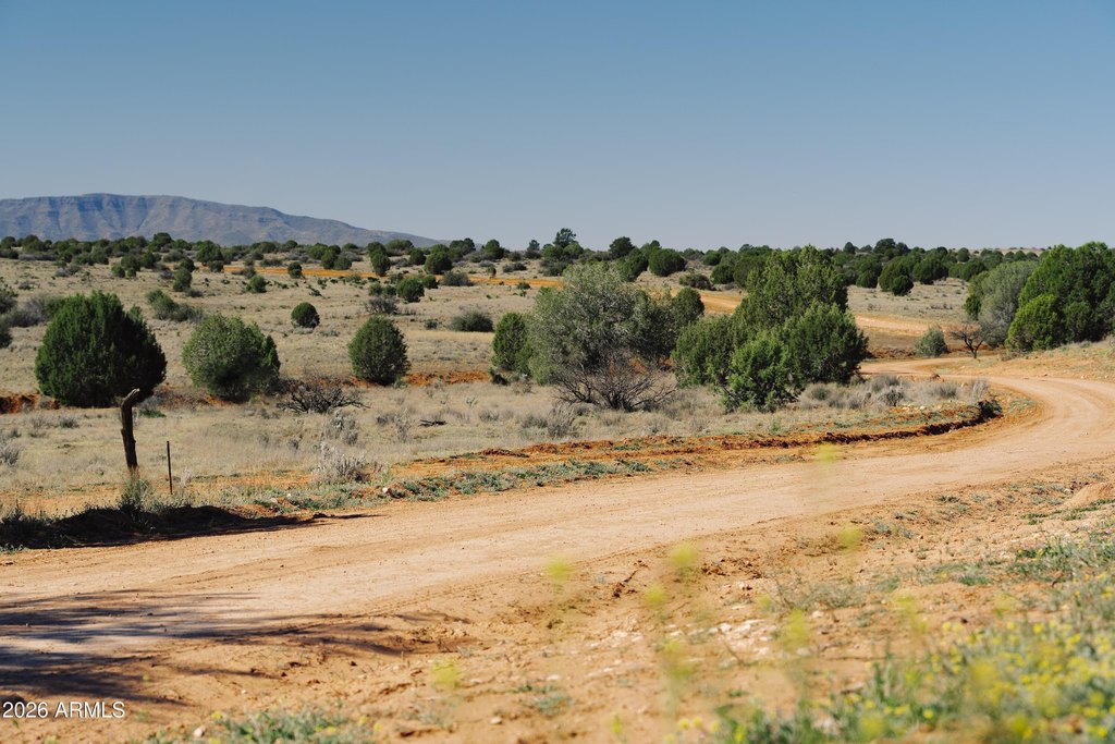 Picture 5