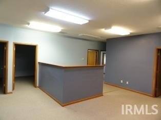 Picture 5