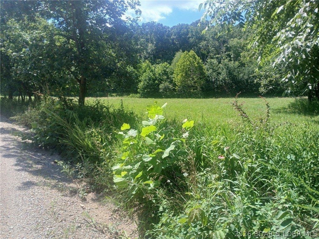 Picture 2