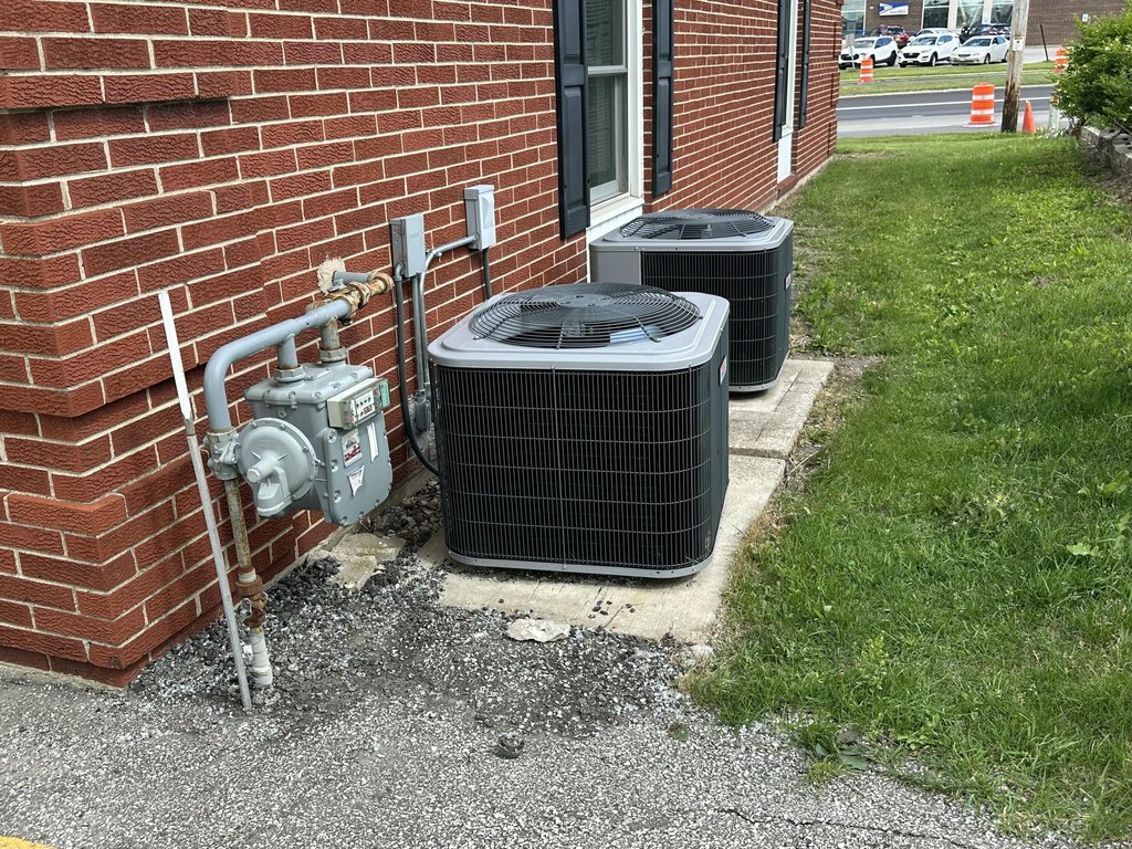 Picture 13