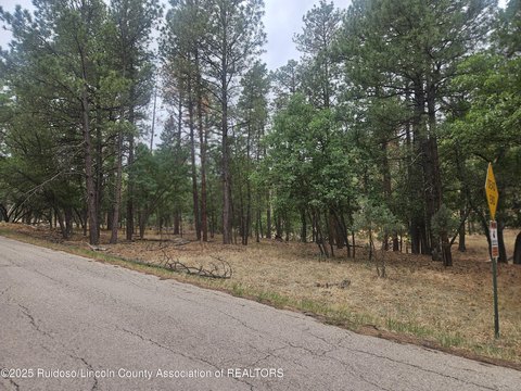 Residential Land in Alto, NM
