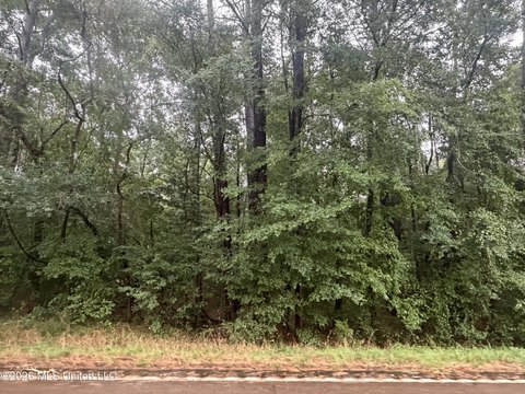 LAND - Mendenhall, MS
