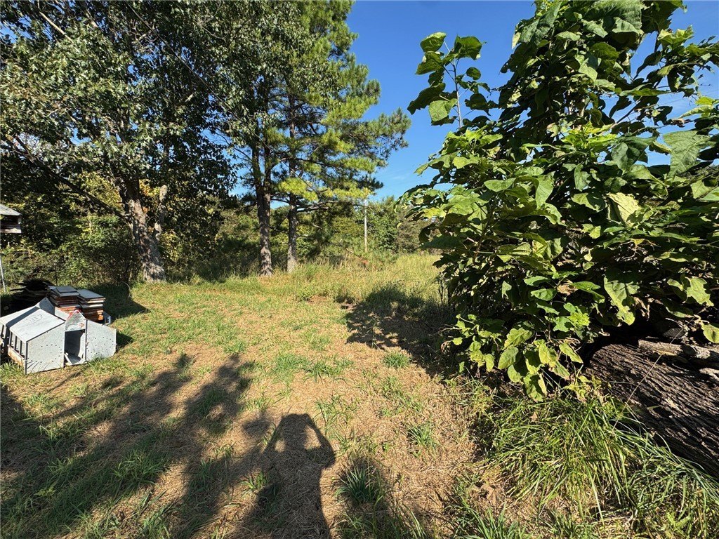 Picture 12
