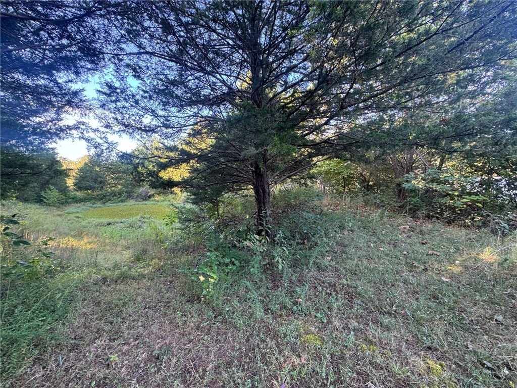 Picture 3