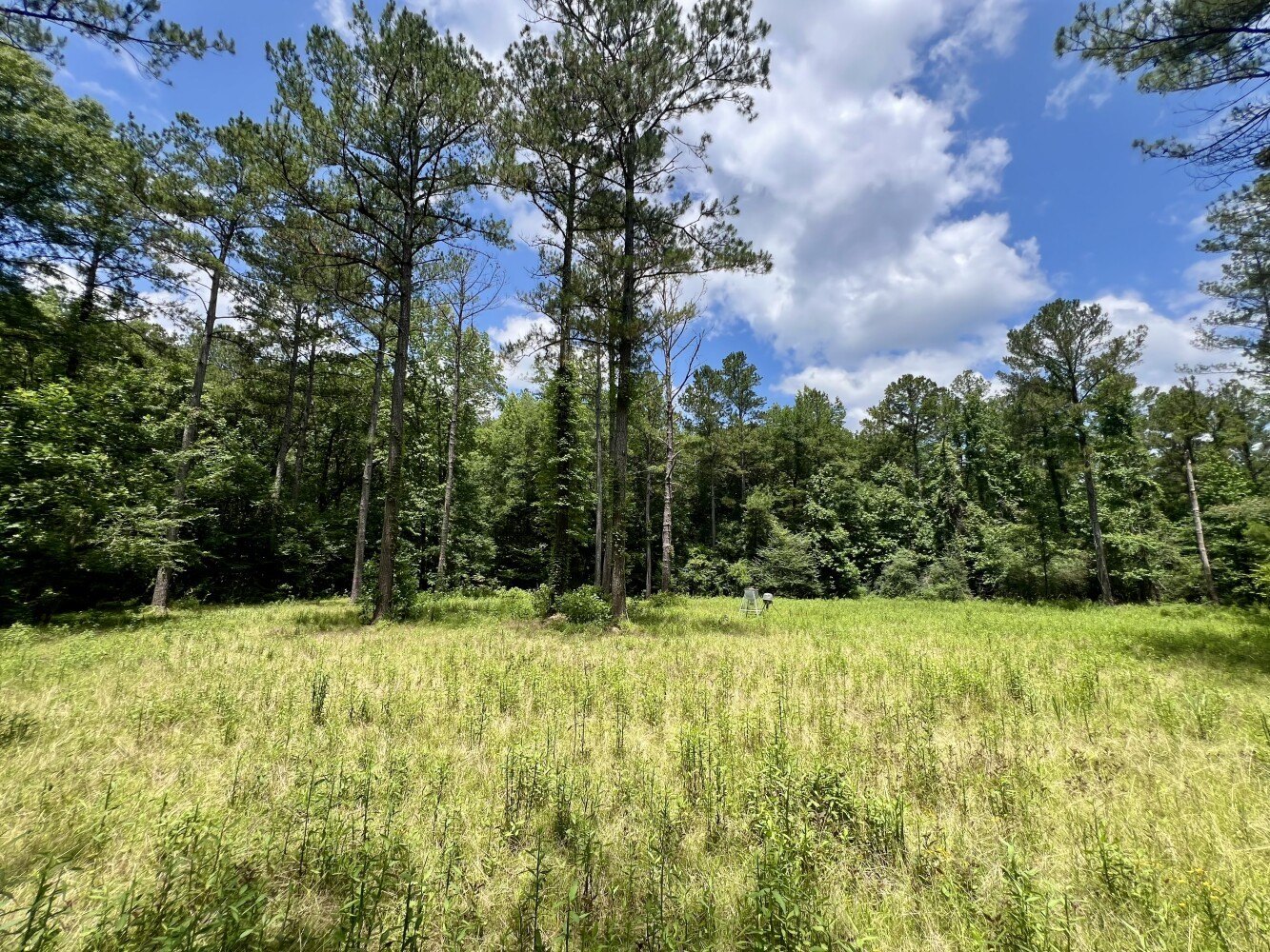 Tunnel Springs Vacant Land Opportunity