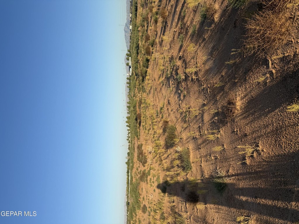 Picture 23