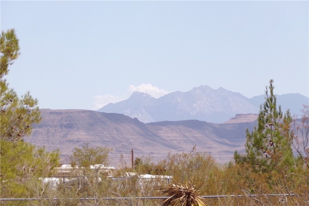 Picture 6