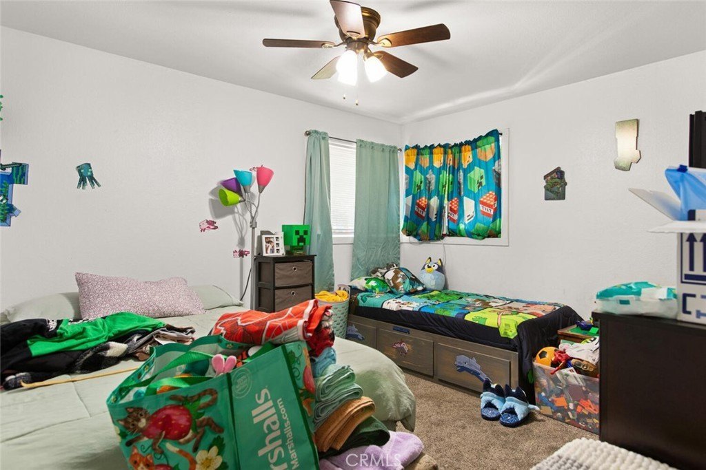 Picture 13