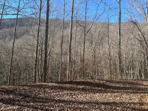 2.9 Acre Wooded Corner Lot