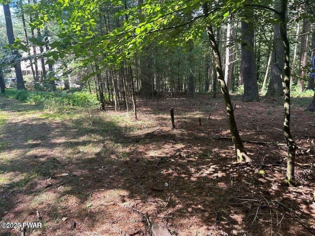 Picture 12