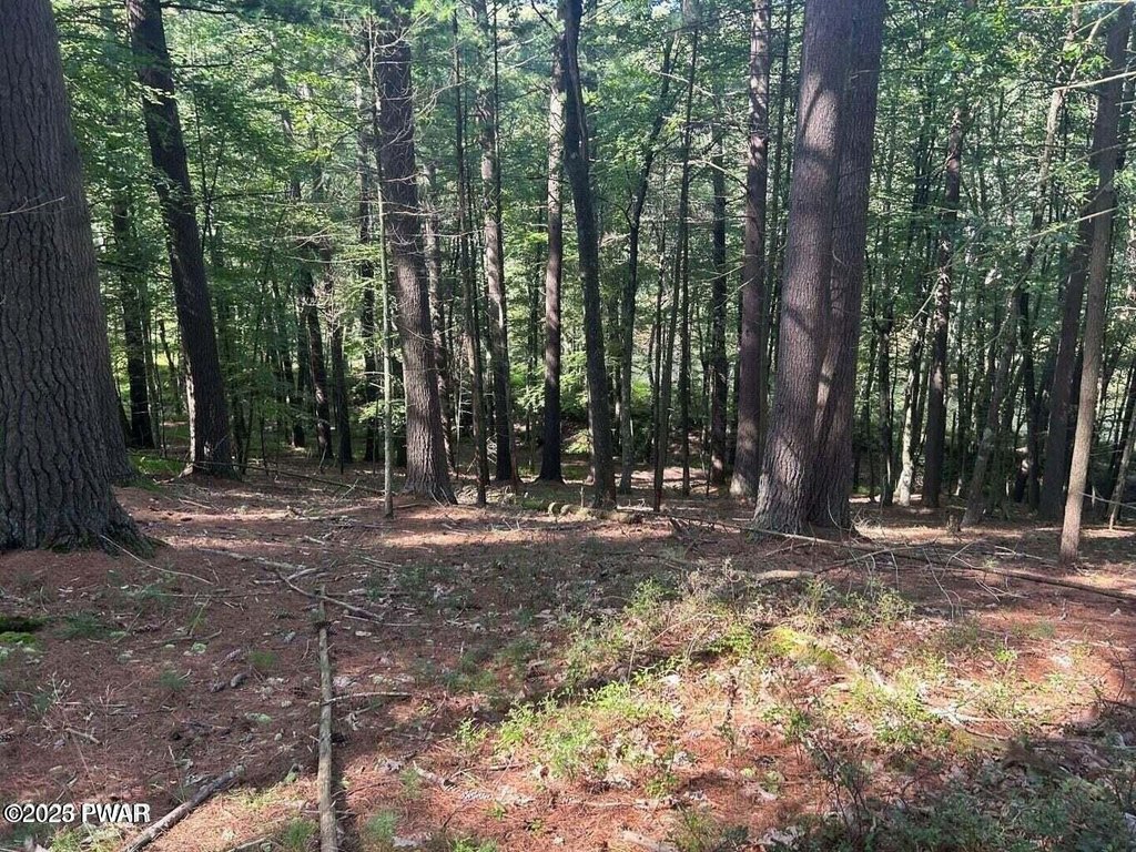 Picture 13