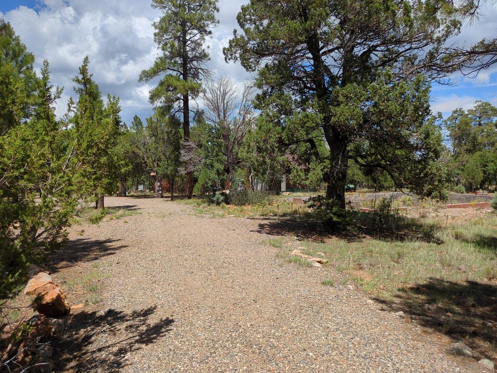 Picture 9