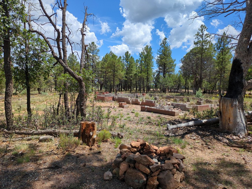 Picture 11