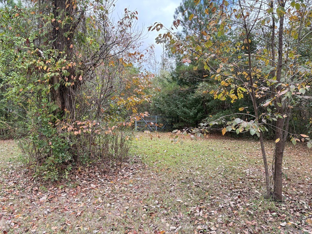 Picture 16