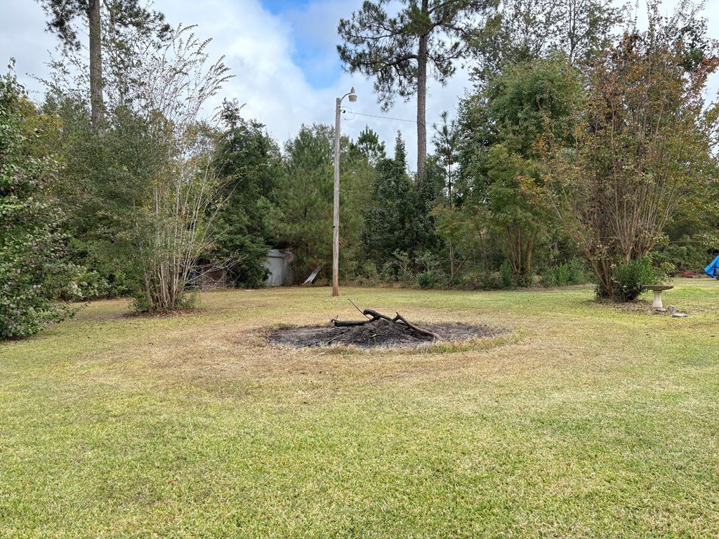 Picture 15