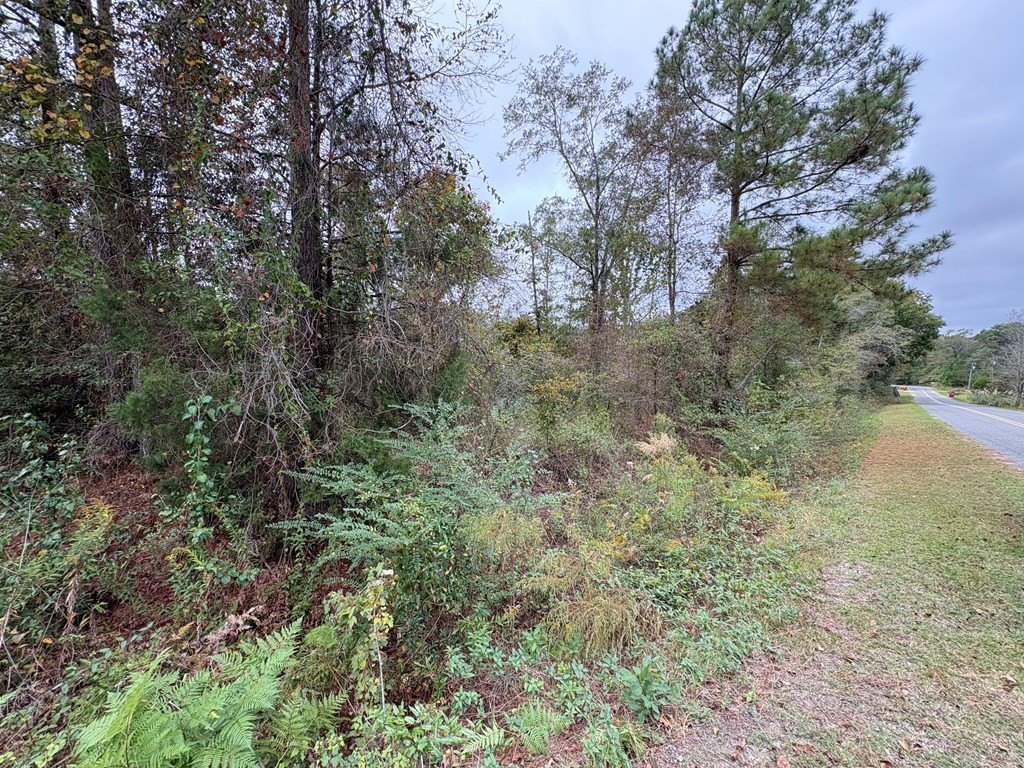 Picture 19