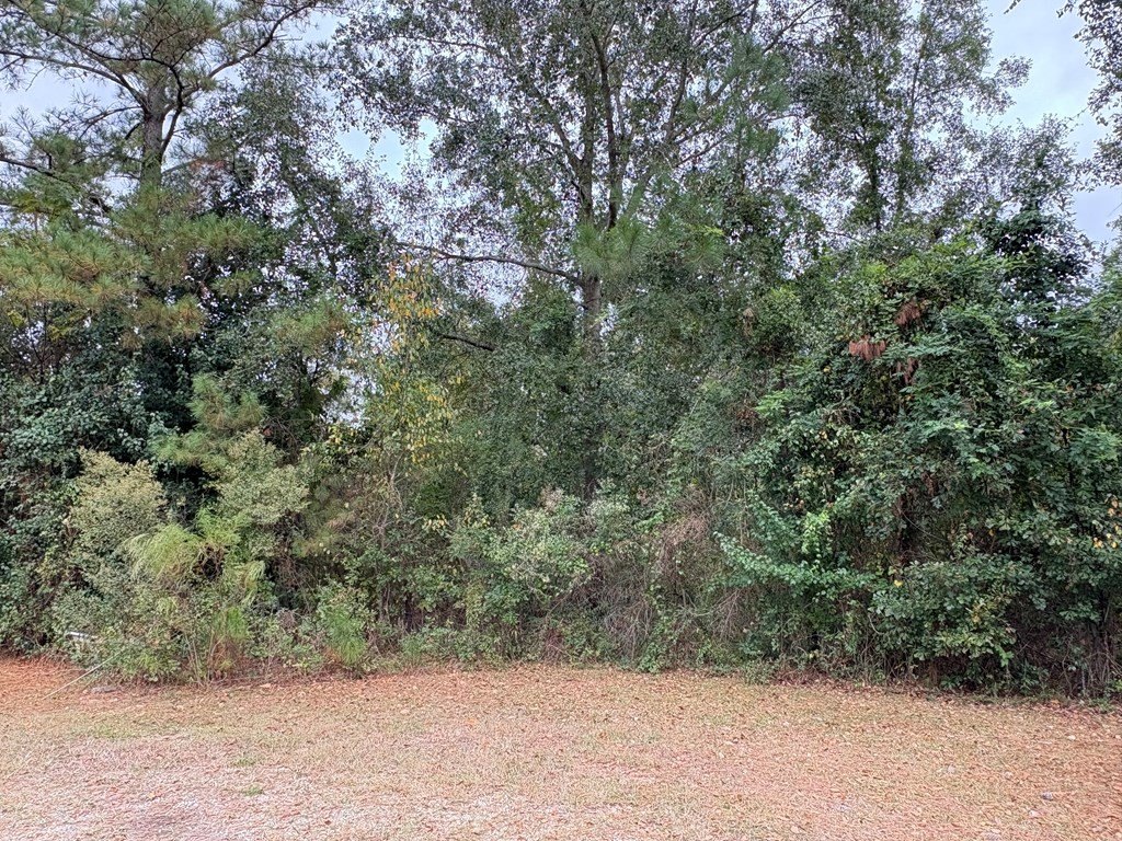 Picture 17