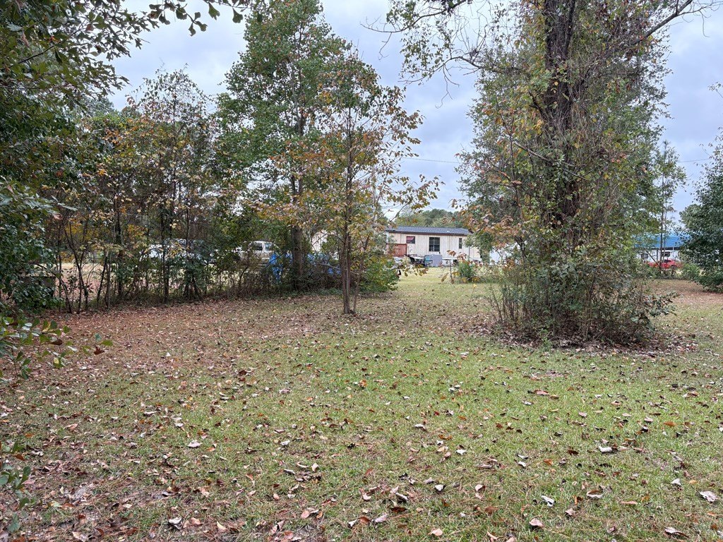 Picture 13