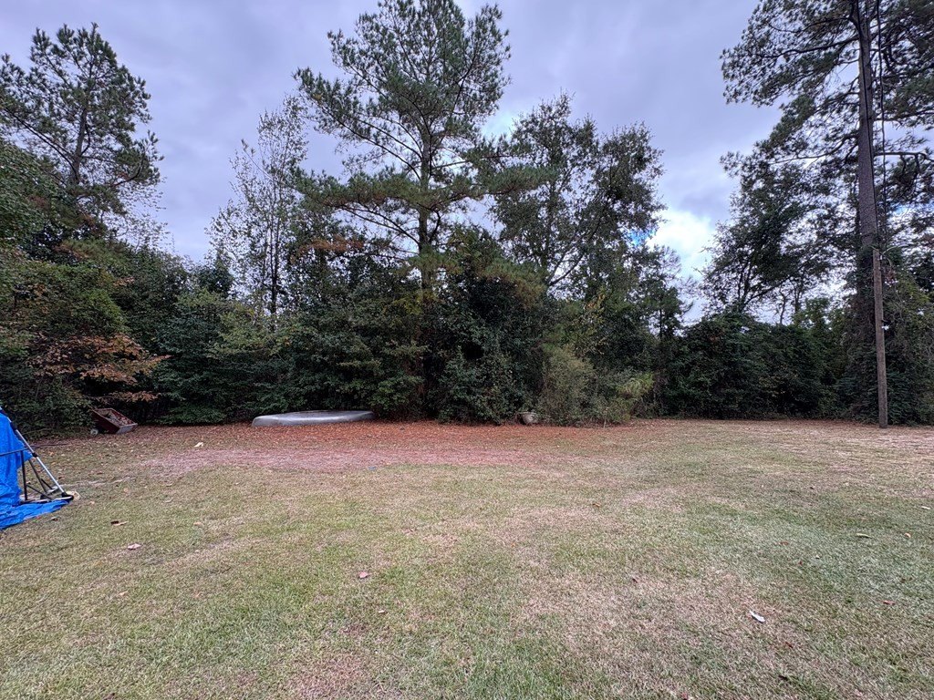 Picture 18