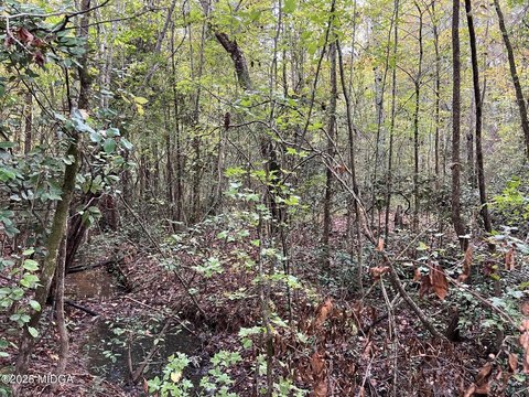 Residential Land in Gray, GA