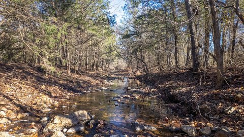 Ozarks Creek-Front Acreage Ready