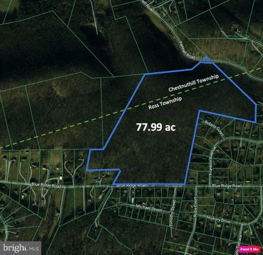 Wooded Recreational Land Tract
