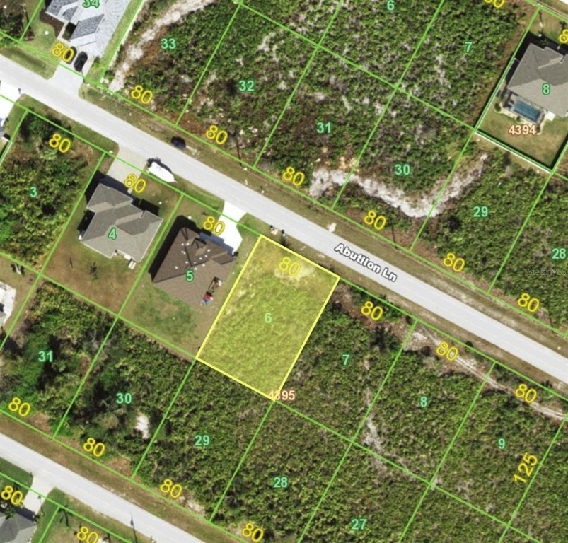 Picture 4