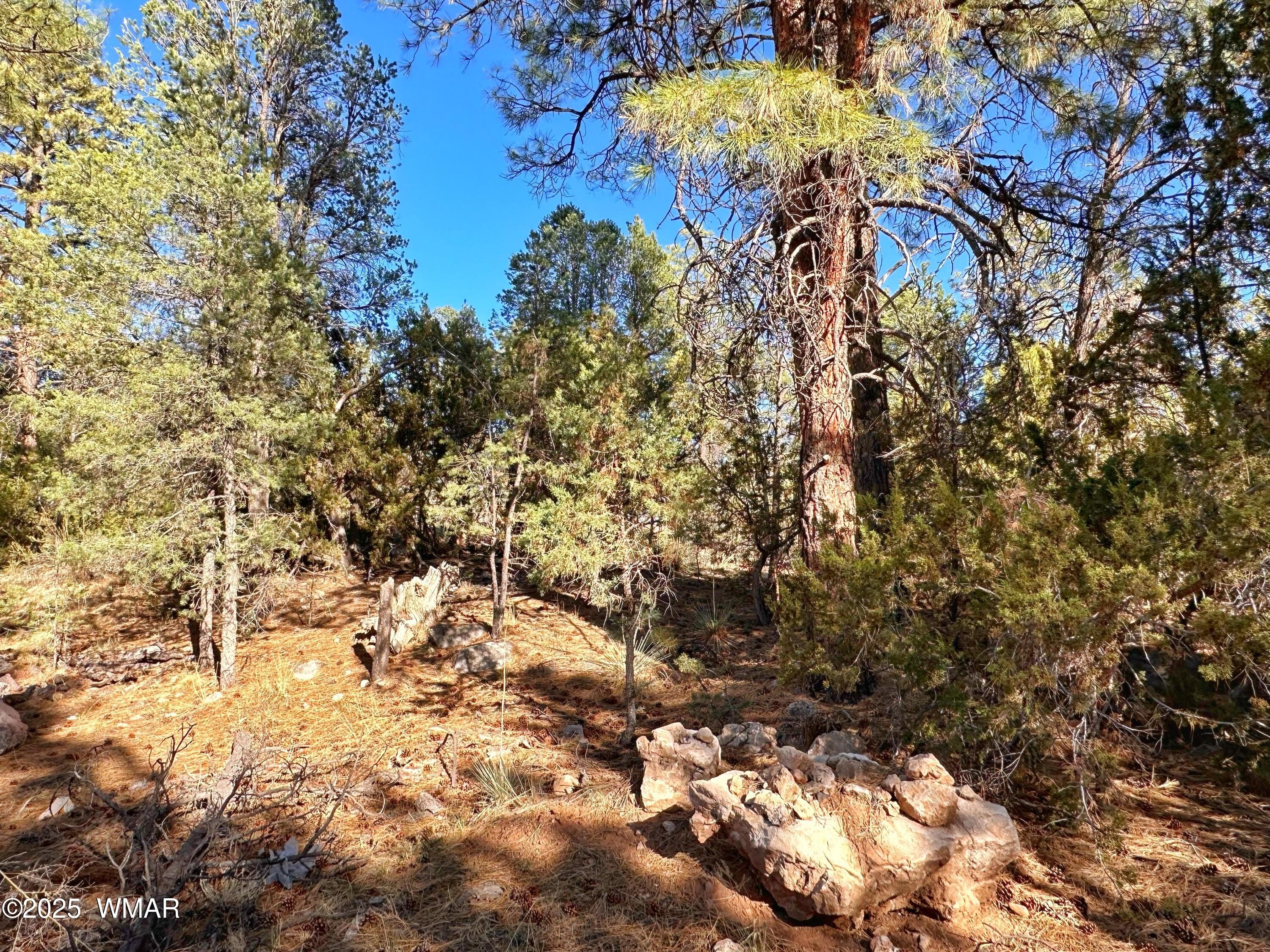 Residential Land in Overgaard, Arizona