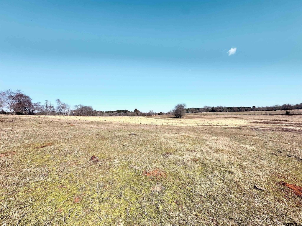 Picture 21