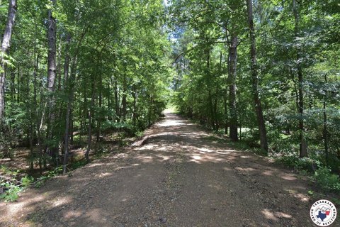 Recreational Land Near Magnolia, AR