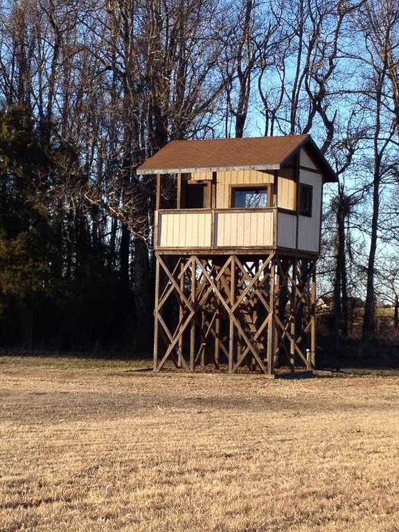 Picture 16