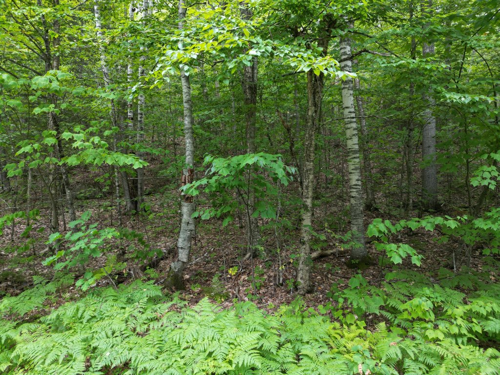 Picture 5