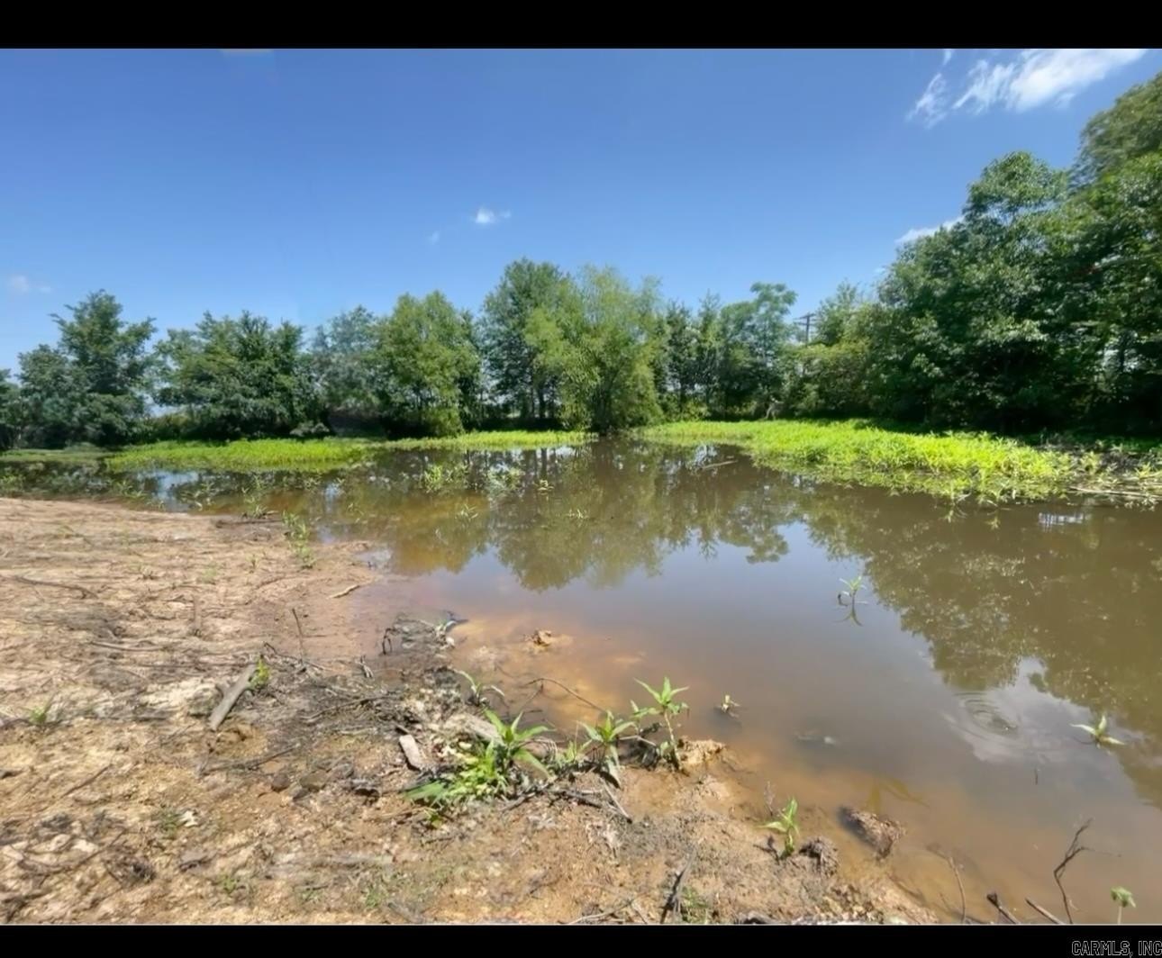 Arkansas County Hunting Land