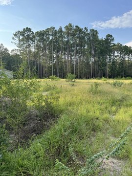 Land, Walterboro, SC