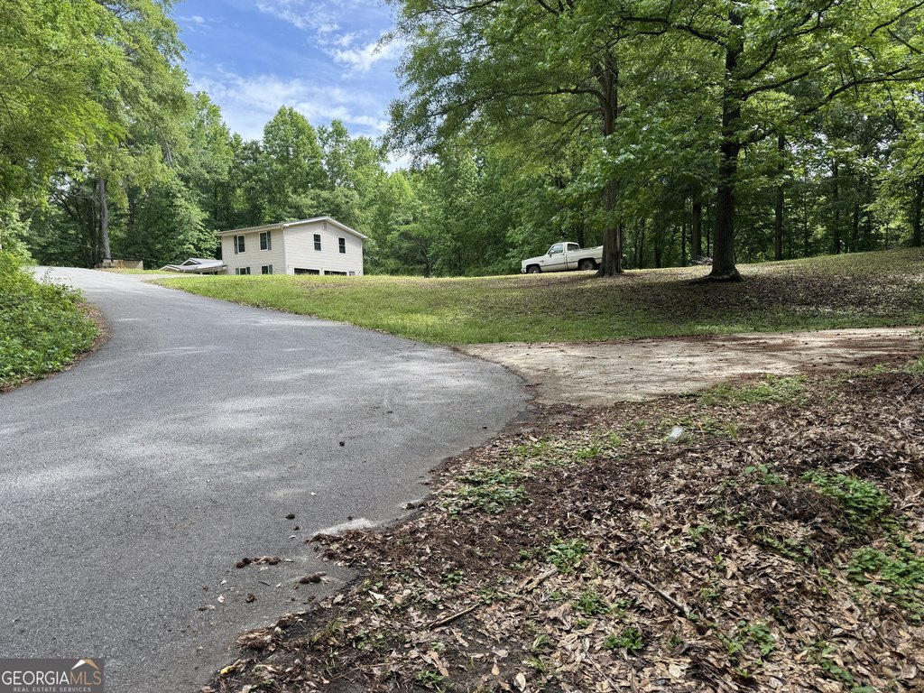 Picture 20