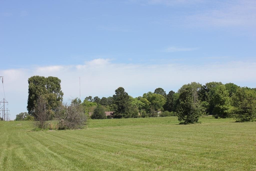 Picture 19