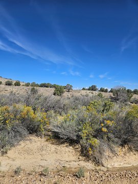 Land in Duchesne Mini Ranches