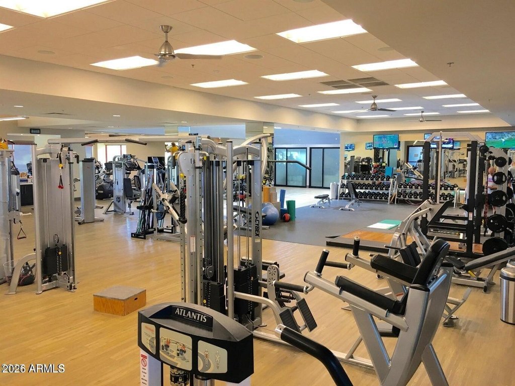 Picture 5