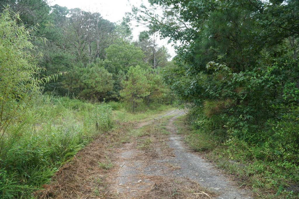 Picture 3