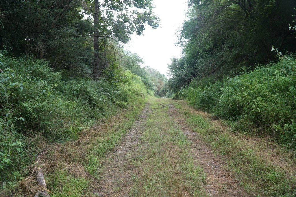 Picture 5