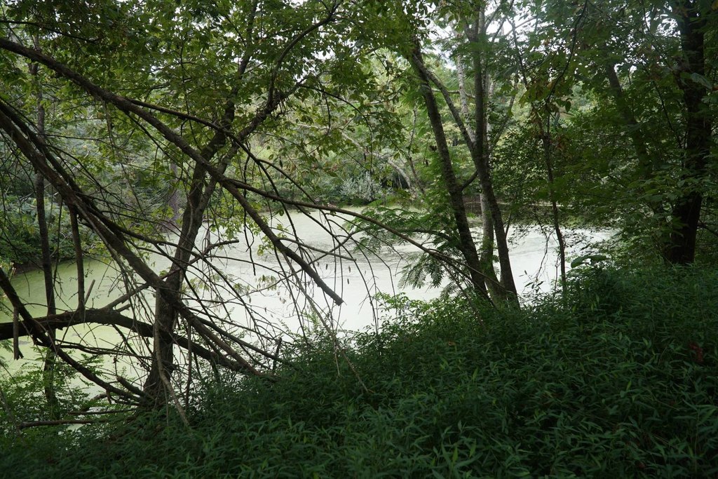 Picture 8