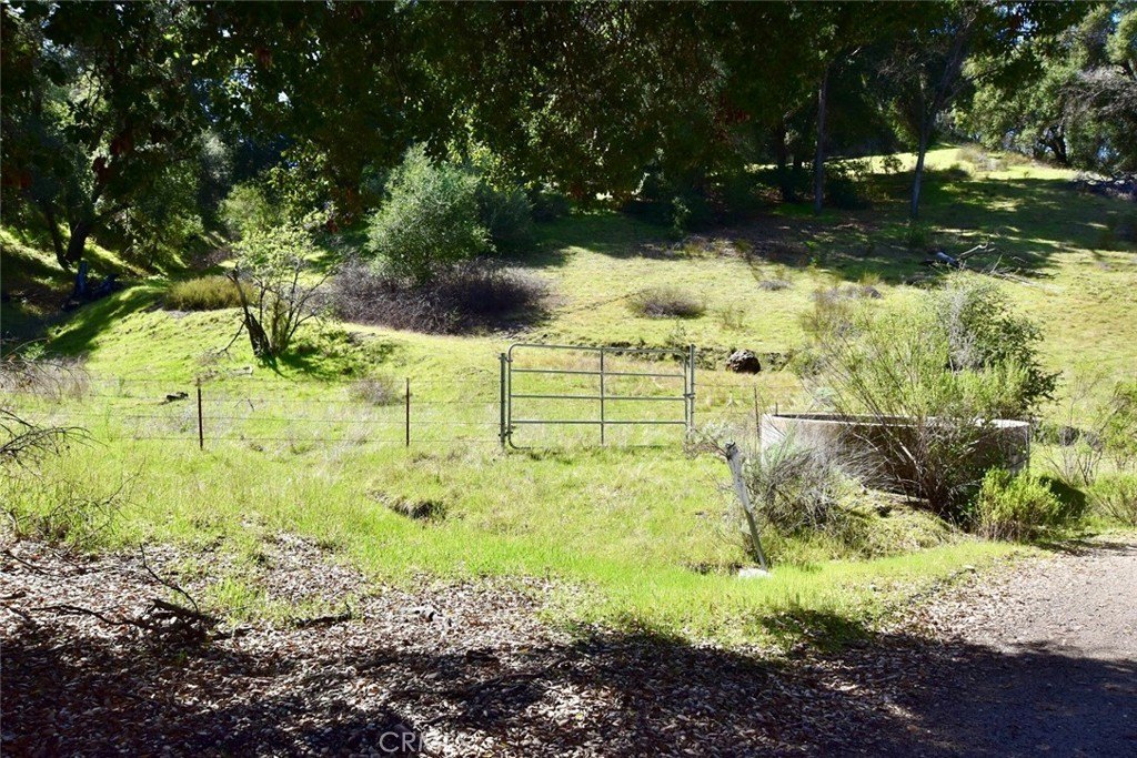 Picture 10