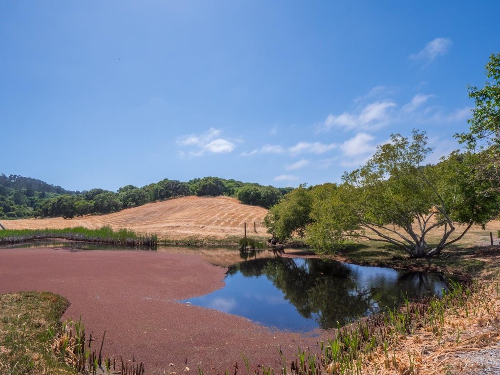 Picture 42