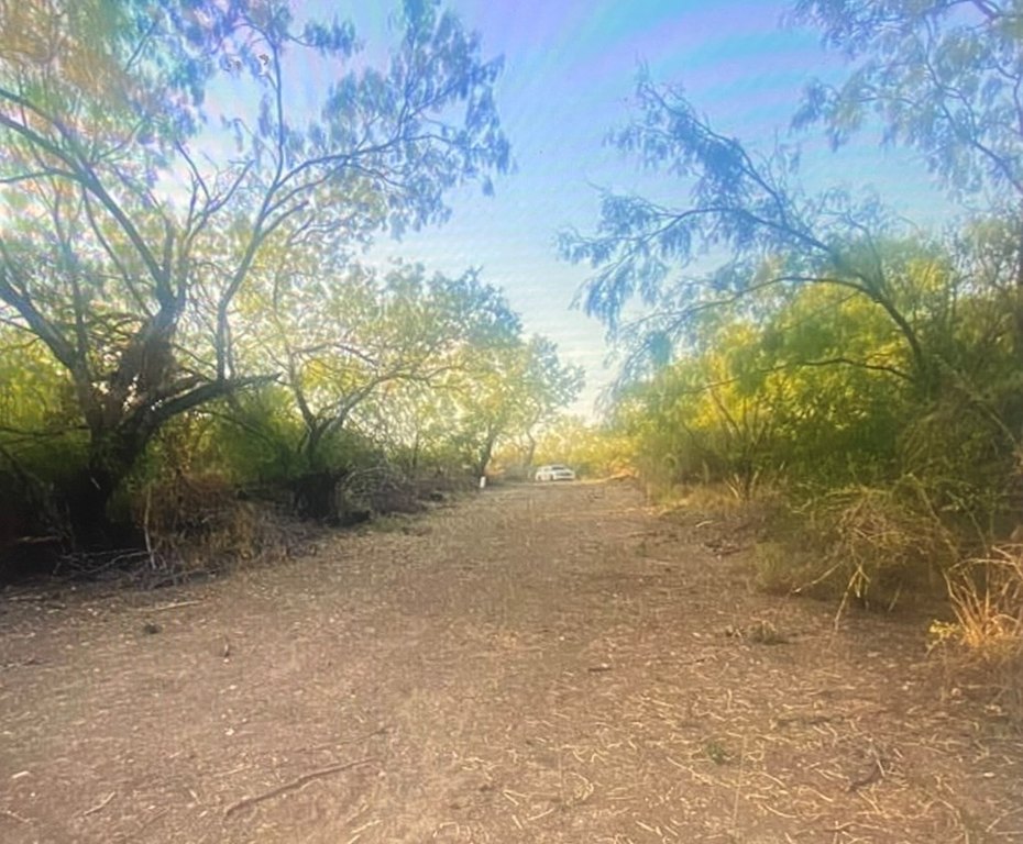 Picture 4