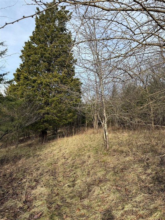 Picture 8