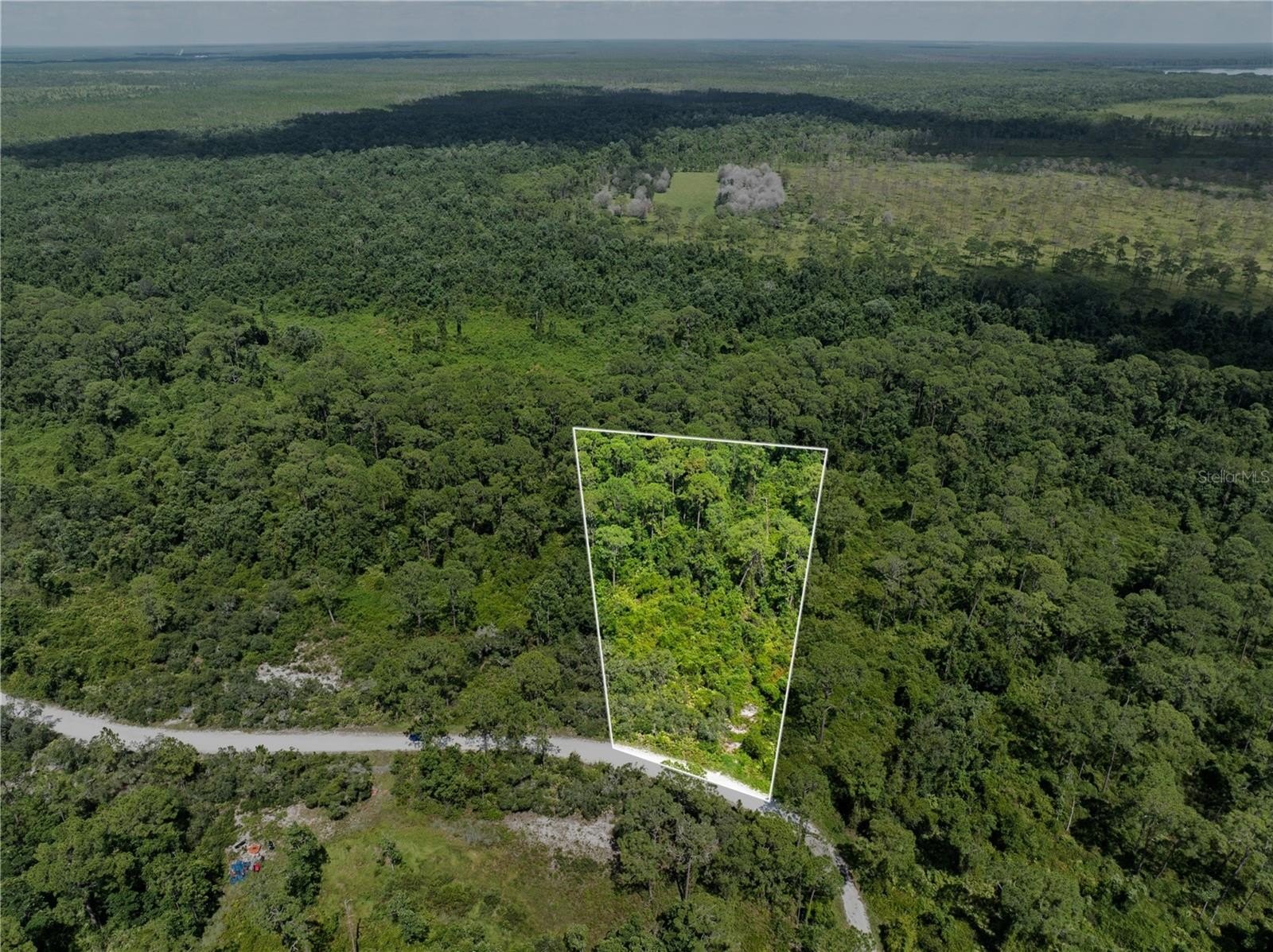 2.49 Acres in Blue Jordan Forest