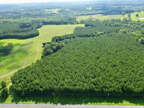 9.90 Acres in Brundidge, AL