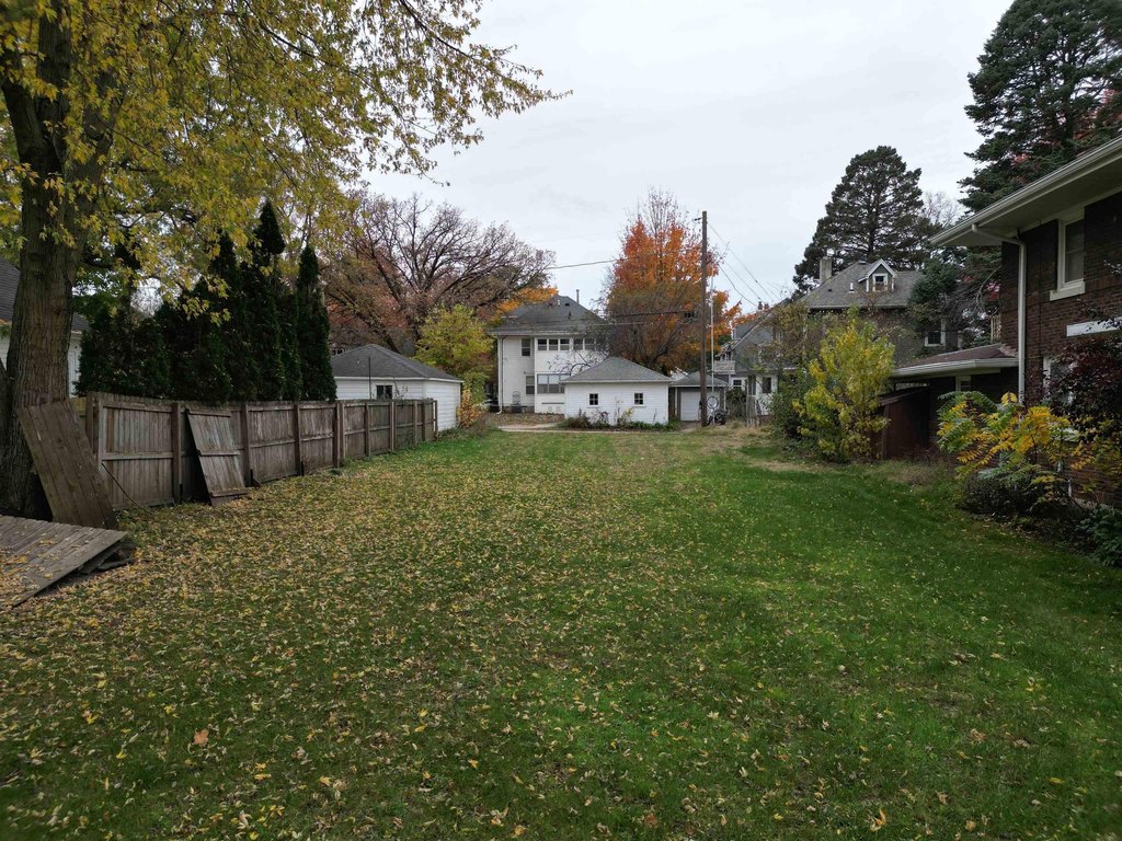 Picture 3