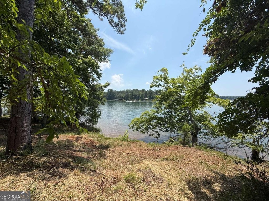Picture 23