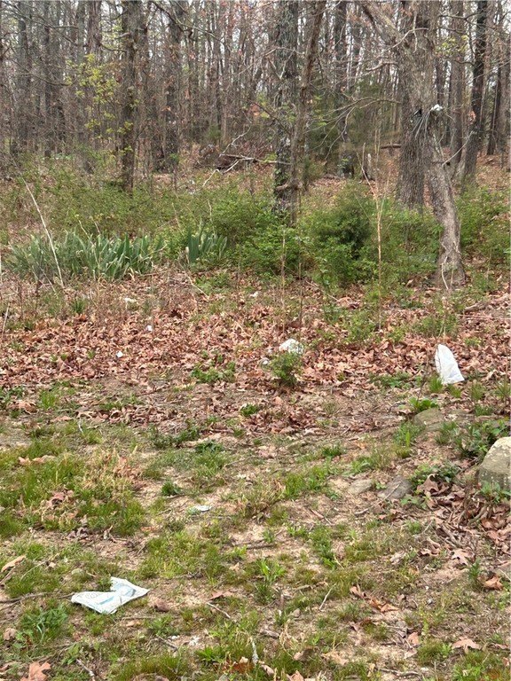 Picture 4